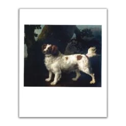 George Stubbs: All Done From Nature -Artful Gifts Shop 1 554a4ffa 837e 40d0 9d07 47c4d8bc33eb