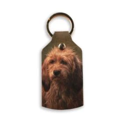 Brizo Recycled Leather Keyring