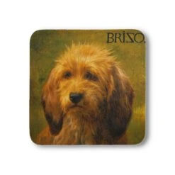 Coaster Brizo
