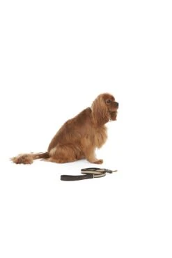 Mungo & Maud Faithful Friend Dog Lead -Artful Gifts Shop LEW34567890 171