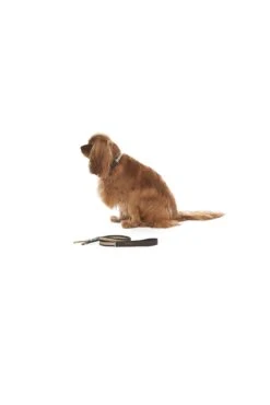 Mungo & Maud Faithful Friend Dog Lead -Artful Gifts Shop LEW34567890 189