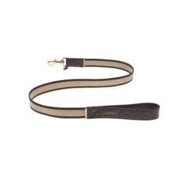 Mungo & Maud Faithful Friend Dog Lead -Artful Gifts Shop LM M15720WEB2173
