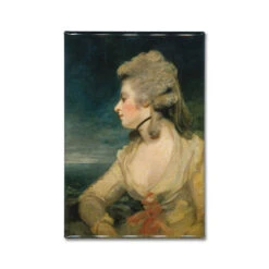 Mrs Mary Robinson Magnet