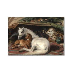 The Arab Tent Magnet