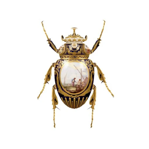 Sèvres Goliathus Scarabaeidae - By Magnus Gjoen