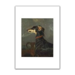 A Saluki Dog A3 Mounted Print